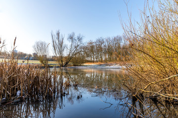 Obraz premium Gefrorener See in einer Winterlandschaft in Rheinhessen