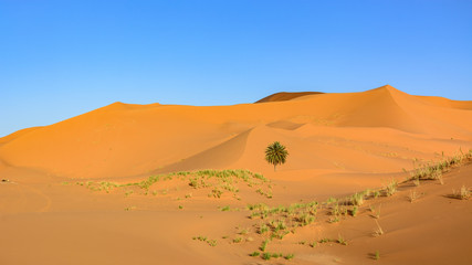 Fototapeta Wydmy Erg Chebbi, Sahara, Maroko obraz