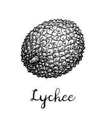 Ink sketch of lychee fruits.