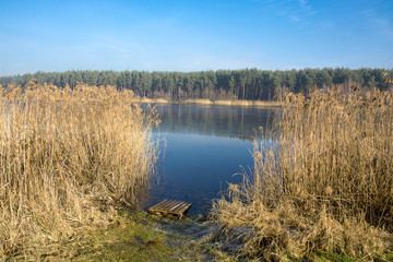 Wiosna nad wodą