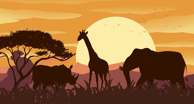 Silhouette scene with wild animals at sunset