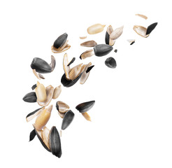 Peeled sunflower seeds are frozen in the air, isolated on white background