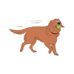 labrador retriever dog breed vintage illustration isolated