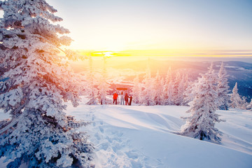 Snowboard. Team of girls' people watching sunrise surrounded by snow and fir trees, mountains. Concept travel, ski resort, Freeride
