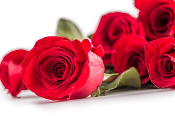 Red roses. Bouquet of red roses isolated on white