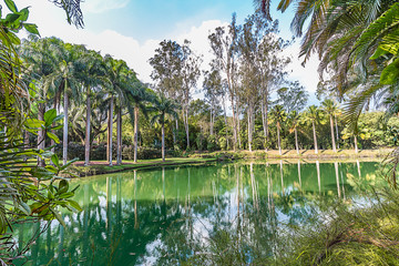 Brumadinho, Minas Gerais, Brazil. View of Inhotim Gardens and lake