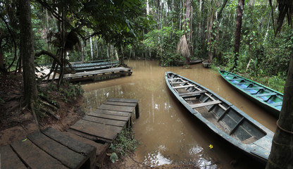 Fototapeta na wymiar The rainforest wharf on Sandoval Lake near Puerto Maldonado and Madre de Dios River, Amazon Peru