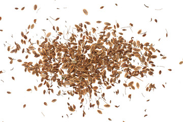 dill seed isolated on white background. top view