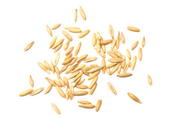 oat seeds isolated on white background top view
