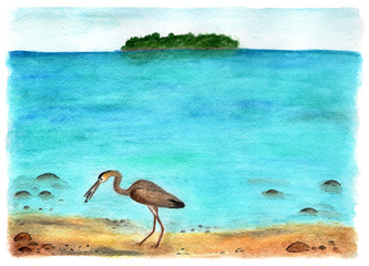 Rest on the Maldives. Watercolor illustration.