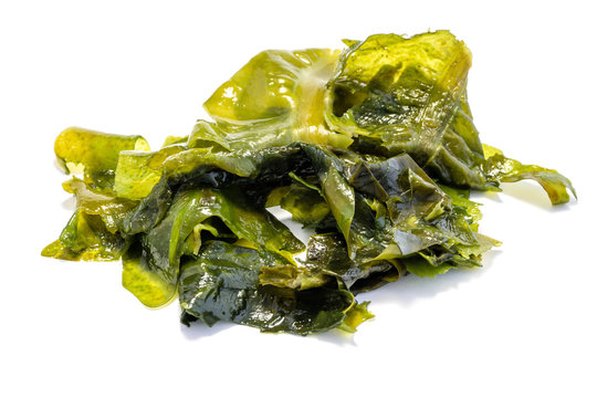 Wakame Wakamealge alge isoliert freigestellt auf wei&szlig;en Hintergrund, Freisteller 