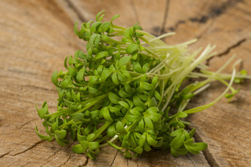 cress sprouts (Lepidium sativum) ion a wooden background