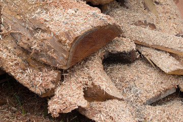Wood Processing of Cut timber, Bark wood residues