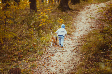 Boy with beagle