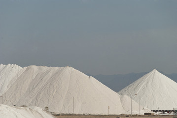 Salt industry, Spain