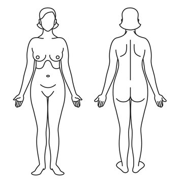 Woman body as anatomical guide / Naked woman body in line style, filled in white color

