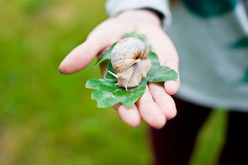 Girl holding a snail and a green leaf in her hand