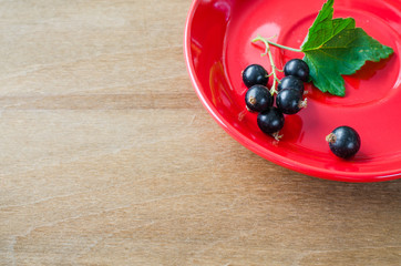 Fresh ripe organic black currant in plate.
