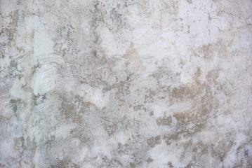 Photo of the grey concrete wall texture. Great background	