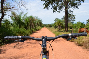 Fototapeta na wymiar Mountain Bike Handlebar at Dusty Jungle Road, Pantanal, Brazil