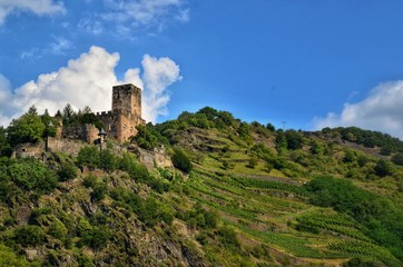 Fototapeta na wymiar Castle on a hill