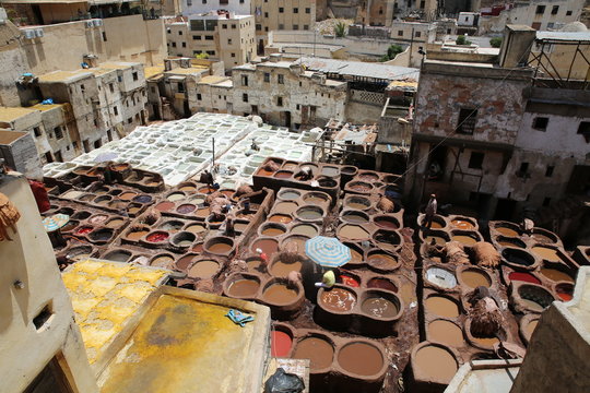 Fez Morocco Tannery