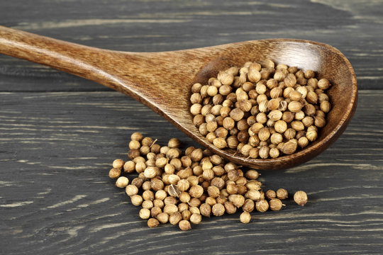 Dried coriander seeds in wooden spoon on wooden table