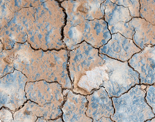 Fototapeta premium Cracked Earth