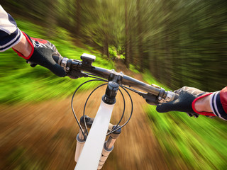 Fast ride on bike in summer forest. Sport and active life concept