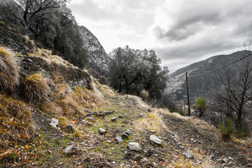 National Natural Park of France Mercantour