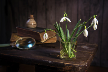 snowdrops and some old objects on a vintage stool against a dark rustic wooden wall, spring greeting still life with copy space