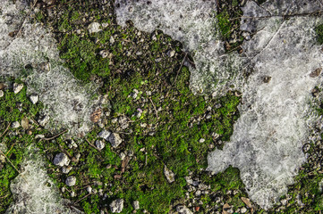 Natural texture with stones, earth and grass