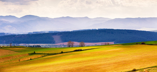 Spring hills fields and meadow landscape. Tatras mountains © NemanTraveler