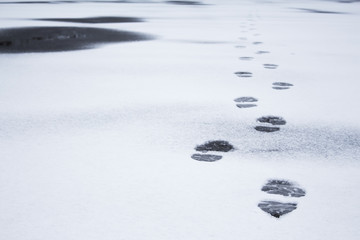 Winter foot steps in the snow on the ground