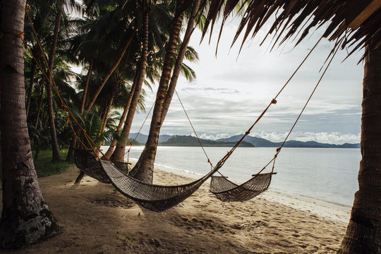 Fototapeta Hammocks hanging amidst coconut palm trees at beach