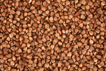 Buckwheat groats background. Buckwheat texture.