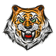 Tiger illustration print