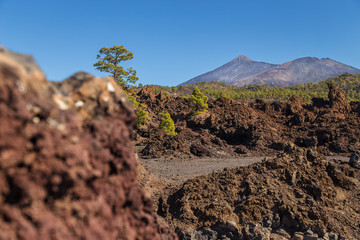 Teide National Park, Tenerife, Canary Islands - A picturesque view of the colourful Teide volcano,...