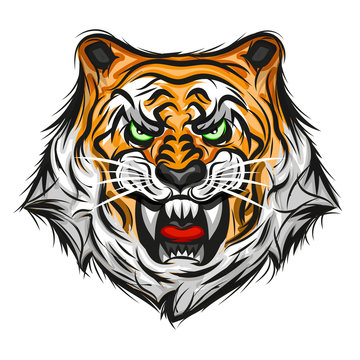Tiger illustration print