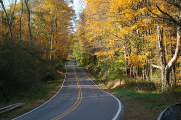 Fall Highway