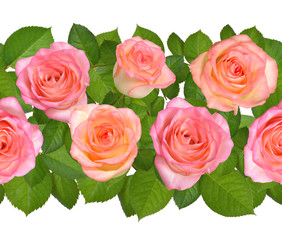 Horisontal Seamless border with Pink roses. Isolated on white background