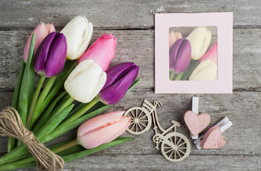 Colorful tulip flowers, frames
