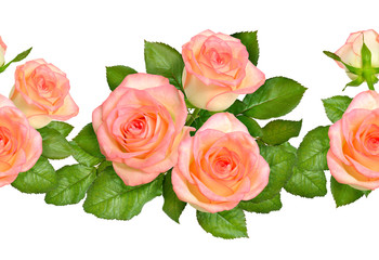 Seamless border with Pink roses. Isolated on white background