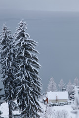 Fototapeta premium winter at Colibita lake, Romania