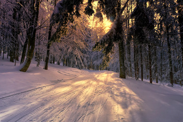 Snow covered trees in the mountain forest. Moody winter sunset in mountains.
