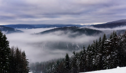 Winter foggy mountain landscape. Fairytale  evening or afternoon with dramatic clouds in the sky
