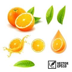 Fotobehang 3d realistic vector set of elements ( whole orange, sliced orange, splash orange juice, drop orange oil, leaves). Editable handmade mesh © Good Job