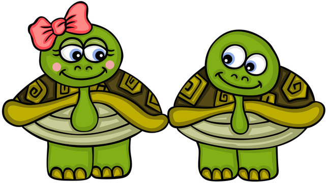 Cute couple turtle