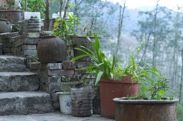 Fototapeta na wymiar Plants in vases near the stairs (Yuanyang, Yunnan, China)