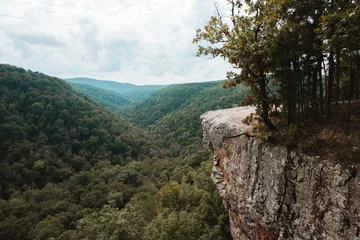 Hawksbill Crag Whitaker Point Hiking Trail in Arkansas near Fayetteville © Matt